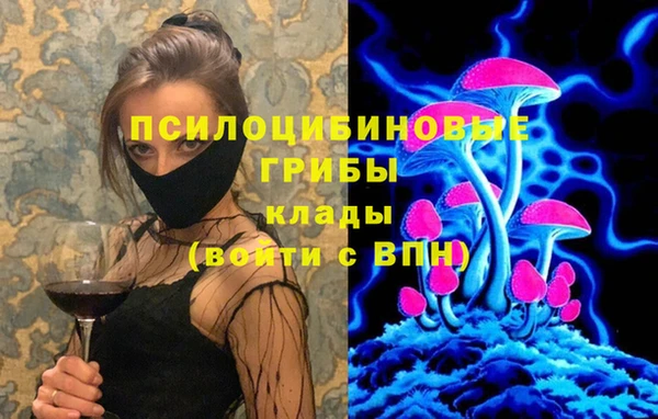 a pvp Верея