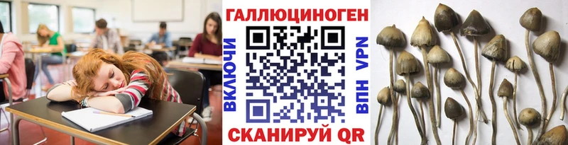 Галлюциногенные грибы GOLDEN TEACHER  Купить закладки  Мезень 